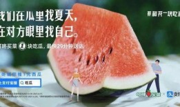 吃瓜就吃心文案,一场关于美食与情感的独特体验