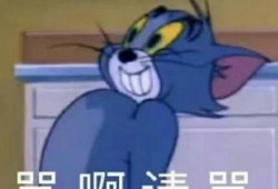 有事睡觉无事吃瓜