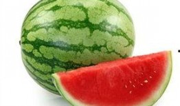 武安吃瓜视频,揭秘网络热传视频背后的故事