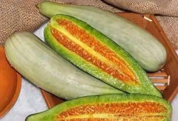 思瓜骨朵管吃吗,揭秘其食用价值与食用方法