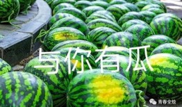 学校有哪些瓜吃,盘点学校里的美味瓜类