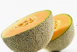 宝宝可吃哈密瓜,营养丰富的哈密瓜推荐