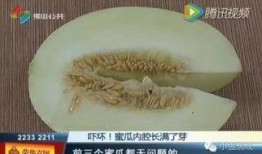 蜜瓜囊可以吃吗,美味与健康的双重享受
