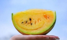 小氧奈吃瓜,揭秘娱乐圈那些不为人知的幕后故事