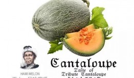 吃瓜1号看台,揭秘娱乐圈幕后故事