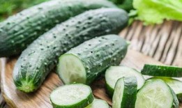 瓜妈吃的减肥中药,中药减肥之旅，揭秘神奇瘦身秘方