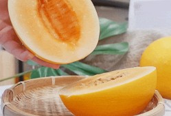 吃黄色蜜瓜,甜蜜滋味尽享一夏