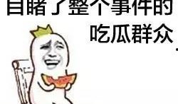 蚂蚁吃瓜群众,蚂蚁视角下的瓜群众众生相