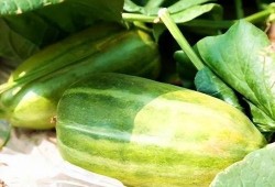 瓜还有什么做法可以吃,创意瓜果烹饪法大盘点