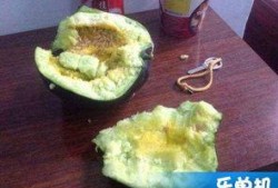 老头瓜可以直接吃吗,可直接食用的天然美味