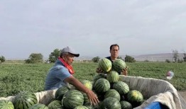 湖心亭吃瓜,揭秘网红打卡地的幕后故事