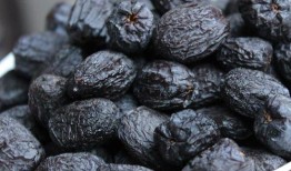 枯木逢春吃瓜,探寻生命奇迹的奇妙旅程