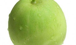 金瓜吃瓜网,揭秘娱乐圈幕后故事，带你走进明星真实生活