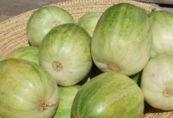 辐射瓜可以吃吗,揭秘其安全性及食用指南