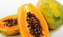 梦见吃啥密瓜,揭秘梦中密瓜的神秘寓意