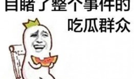 关于吃瓜的词汇,揭秘吃瓜词汇背后的文化现象