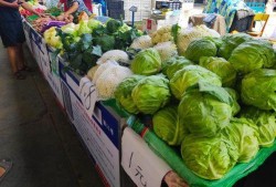 大理吃瓜摆摊,吃瓜摆摊，品味生活百态