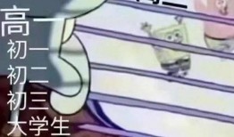 吃瓜猎奇大赏,吃瓜猎奇大赏，年度最热八卦盘点