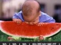 西瓜视频吃瓜人