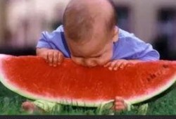 西瓜视频吃瓜人