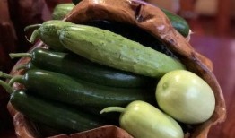 快点编辑吃瓜,热点事件背后的真相揭秘