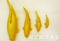 梦到吃金色的瓜