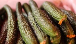 黑皮梭子酥瓜怎么吃,独特口感与多样食法探索