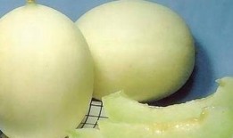 辐射瓜可以吃吗,揭秘其安全性及食用指南