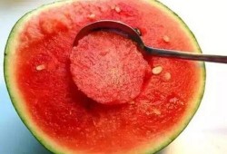 麻瓜吃西瓜,西瓜的奇幻之旅