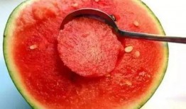 麻瓜吃西瓜,西瓜的奇幻之旅