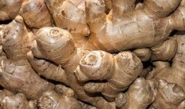 篮瓜花怎样吃,创意烹饪指南