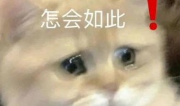 带你吃瓜ps,带你领略“带你吃瓜PS”的独特魅力