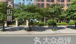 吃瓜西城东城,揭秘西城与东城的风云变幻