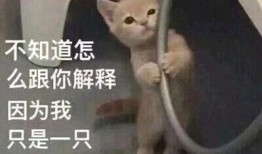 吃瓜群众丢狗头