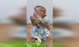 恶搞吃瓜图片,笑料百出，揭秘网络搞笑界的“瓜王”