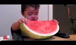 囧囧吃瓜,揭秘娱乐圈那些不为人知的幕后故事