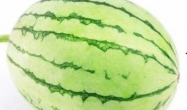 山野户外吃瓜,吃瓜乐趣无限