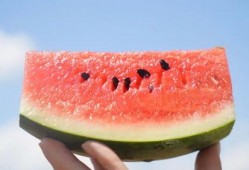 rise和吃瓜,揭秘网络热词背后的文化现象