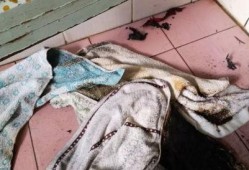 小孩闹鬼吃瓜图片真实,小孩惊悚探险记