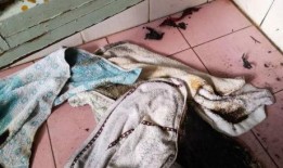 小孩闹鬼吃瓜图片真实,小孩惊悚探险记