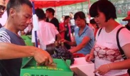 广东河源吃瓜爆料,揭秘当地独特美食文化