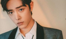 吃瓜娱乐肖战,瓜田李下，娱乐界的璀璨明星