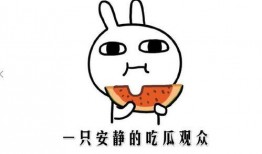 最近吃瓜啥意思,网络时代下的围观文化