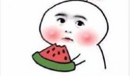 吃瓜群众韩小品,揭秘娱乐圈幕后故事