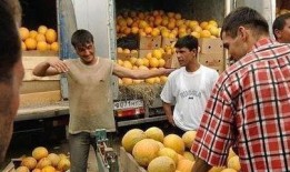 坐地吃瓜人,揭秘现代人的“吃瓜”生活哲学