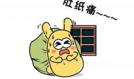 吃瓜群众7537,网络红人的崛起之路