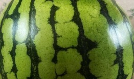 这大晚上的 吃瓜,揭秘娱乐圈最新热点