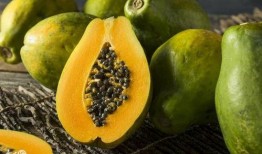 女吃瓜男举瓜,揭秘娱乐圈的甜蜜互动