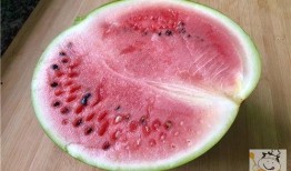 坏坏吃瓜,揭秘娱乐圈背后的那些事儿