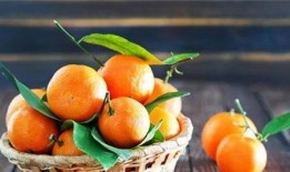 安达尔鼓吃瓜,揭秘网络热点的背后故事